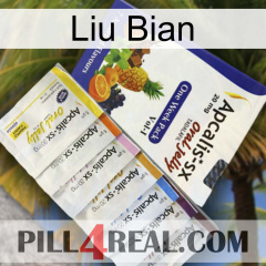 Liu Bian 11